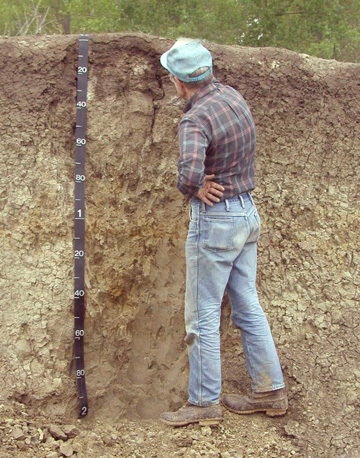 Me measuring a trench, yesterday